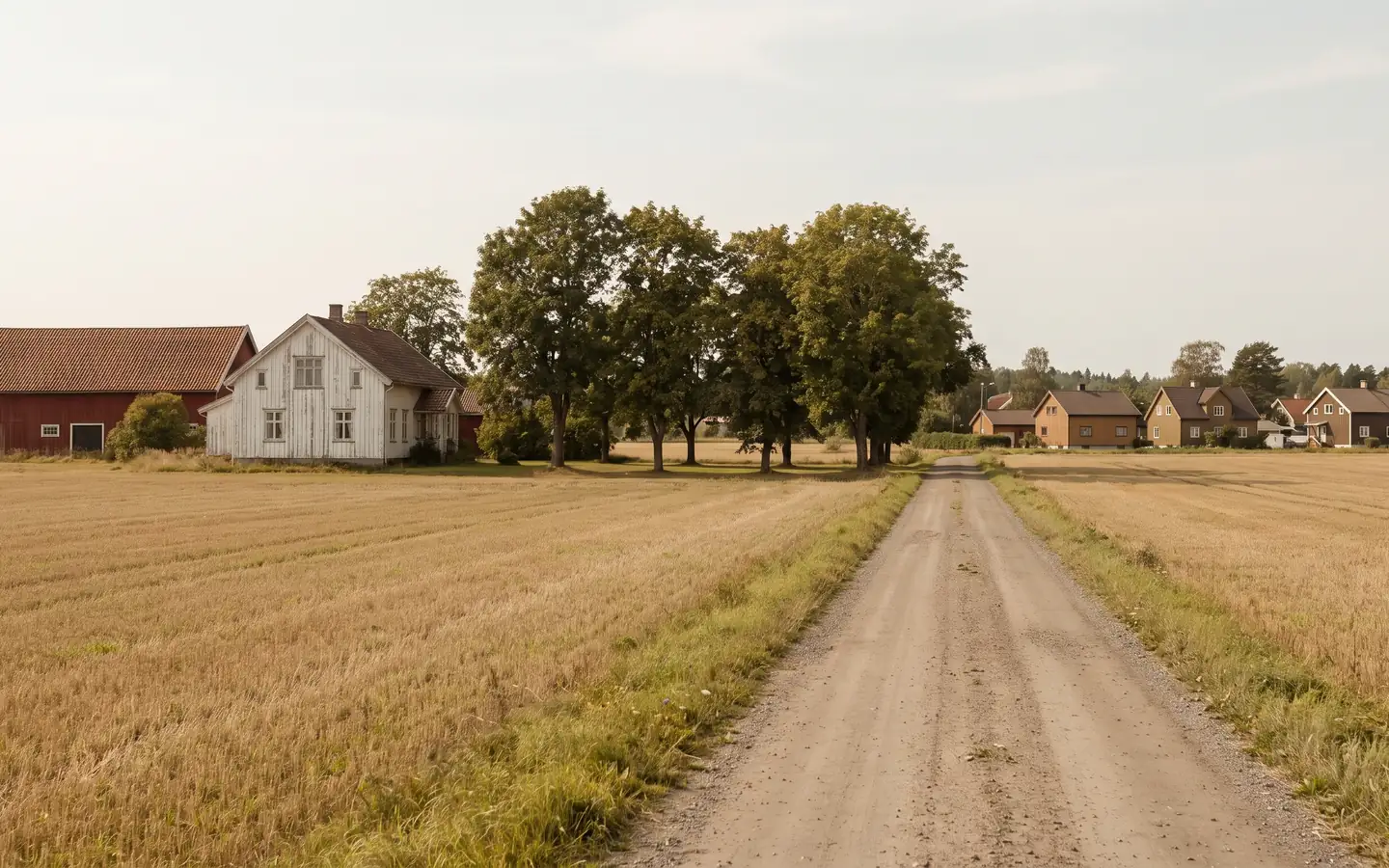 Flatt jordbrukslandskap med hvitt våningshus, rød låve og en grusvei mellom åkrene